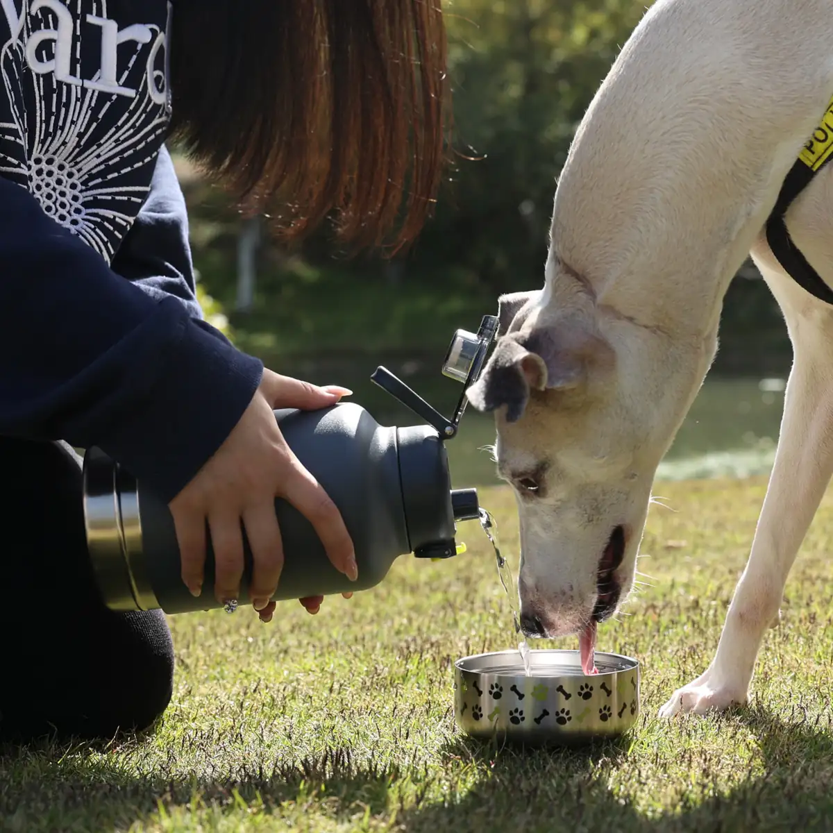 Dog Human Water Bottle Pour Water dark grey