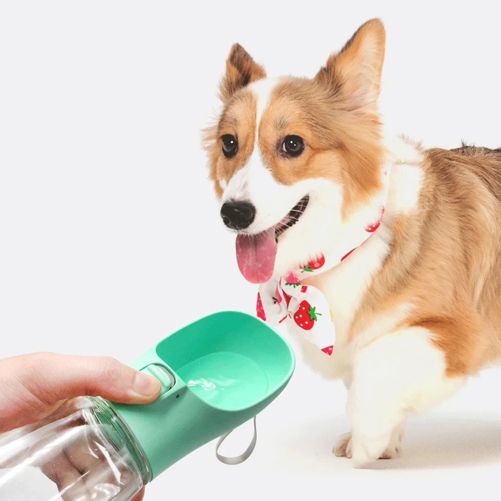 Pet Portable Big Dog Water Bottle